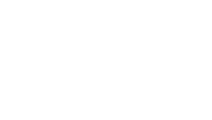 MetroChai