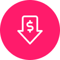 Cost-Effective Development - WordPress Development Icon