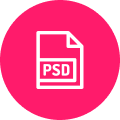 PSD to WordPress Conversion Service Icon