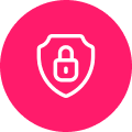 Strong Security Features - WordPress Development Icon