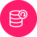 Easy Third-Party Integrations - WordPress Development Icon