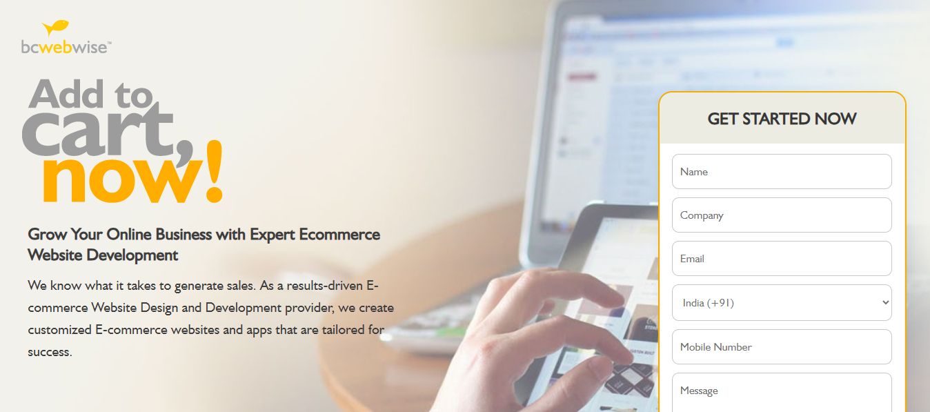 BC Web Wise